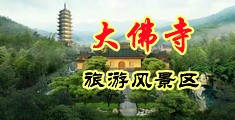 大鸡吧在线观看视频网站中国浙江-新昌大佛寺旅游风景区